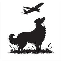 australiano pastor - un australiano pastor perro mirando un avión ilustración en negro y blanco vector