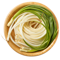 Crinum vegetable, Illustration png