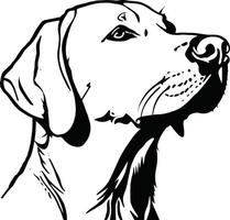 Cute Puppies, Doggy Love, Pups, Doggy, Dog Life, vector