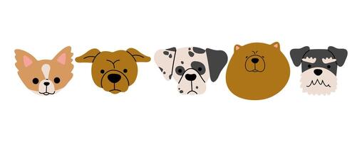 Dog heads 8 on a white background, illustration. vector