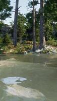 pittoresque Montagne retraite, avec une chatoyant Lac et luxuriant verdure video