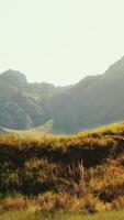 misty dusk on a mountain plateau between rocky peaks video