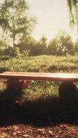 beautiful autumn picnic area under a tree and a bench video