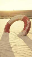 Lifebuoy on the city beach at sunset video