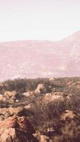tierras altas meseta Entre rocoso montañas en el brumoso Alba video