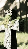 alt Friedhof im Bambus Urwald Hain video