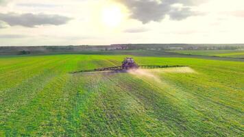 A tractor sprays pesticides on an agricultural wheat field. Aerial shot following a tractor spraying a wheat field against disease video