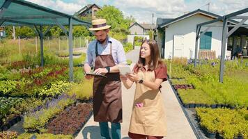 Gardeners and florists inspect plants and enter information on a tablet. Accounting for plants and flowers in the Gardeners' store video