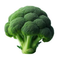 Single piece of organic green raw broccoli on isolated transparent background png