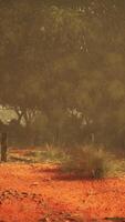 natures toile, une majestueux saleté champ avec serein des arbres dans le Contexte video