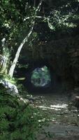 Tunnel Cutting Through Lush Green Jungle video