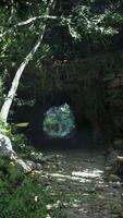 pequeño túnel corte mediante bosque en Indonesia video