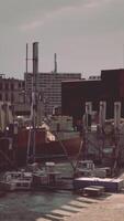 Panoramic View of City Skyline From Rooftop video