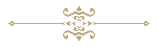 clásico florido frontera elemento. Clásico ornamento aislado en blanco antecedentes. decorativo línea para marco, página, plantilla, póster, saludo tarjeta. png