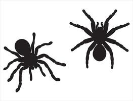 Tarantula silhouette on white background vector