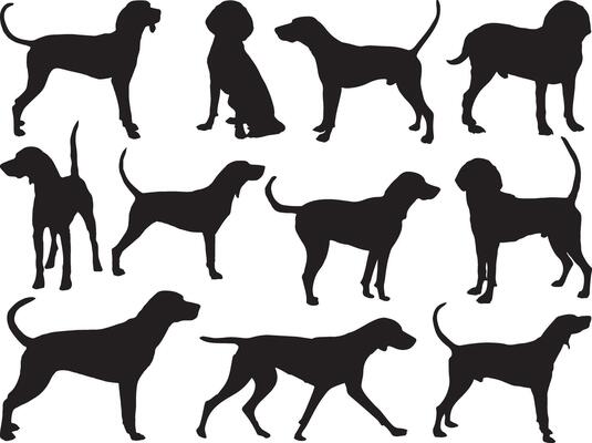 Treeing walker silhouette on white background