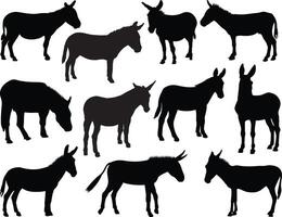 Donkey silhouette on white background vector