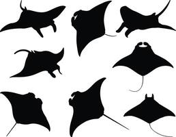 Manta ray silhouette on white background vector