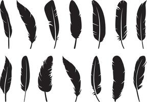 Feathers silhouette on white background vector