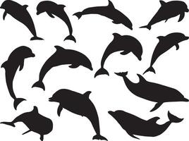 Dolphin silhouette on white background vector