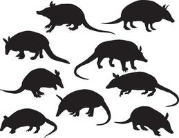 Armadillos silhouette on white background vector