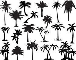 Palm trees silhouette on white background vector