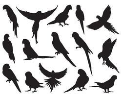 Parrots silhouette on white background vector