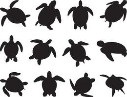 Sea turtle silhouette on white background vector