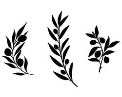 Olive branches silhouette on white background vector