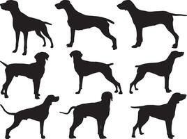 Pointer dogs silhouette on white background vector
