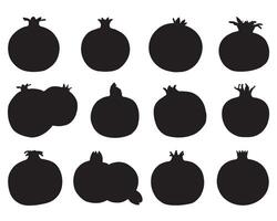 Pomegranate silhouette on white background vector