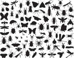 Insects silhouette on white background vector