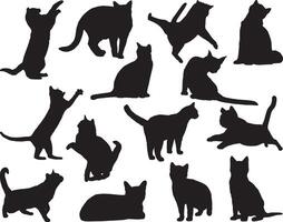 Cats silhouette on white background vector