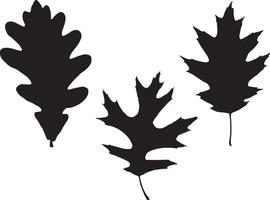 Oak leaf silhouette on white background vector