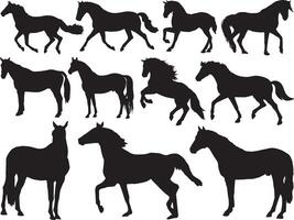 Horses silhouette on white background vector