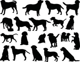 Labrador perros silueta en blanco antecedentes vector