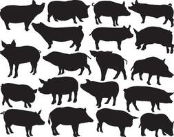 cerdo silueta en blanco antecedentes vector