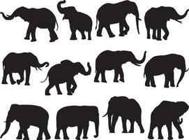 Elephant silhouette on white background vector