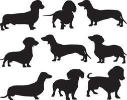 Dachshund dogs silhouette on white background vector