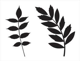 Stem leaf silhouette on white background vector