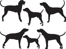 Treeing walker silhouette on white background vector