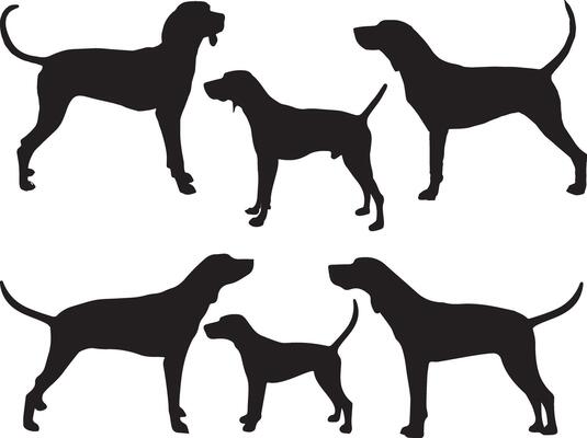 Treeing walker silhouette on white background