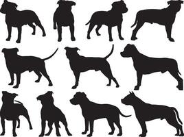 Staffordshire perros silueta en blanco antecedentes vector