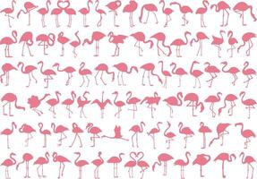 Pink flamingo silhouette on white background vector