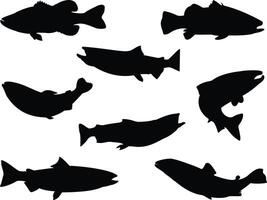 Salmon fishes silhouette on white background vector