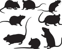 Rat silhouette on white background vector