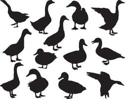 Duck silhouette on white background vector