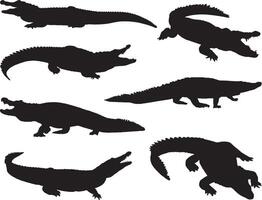Crocodile silhouette on white background vector