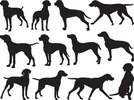 Vizsla dogs silhouette on white background vector