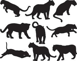 Black panther silhouette on white background vector